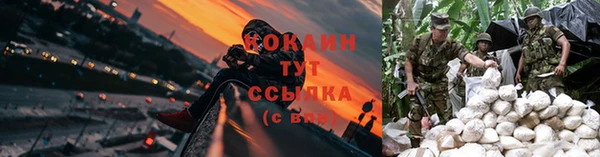 гидра Семикаракорск