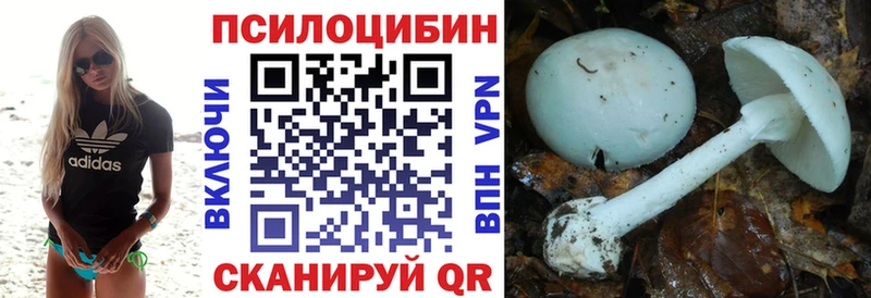 Купить закладки  Заволжье  Галлюциногенные грибы ЛСД 